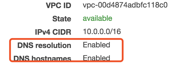 dns-resolution-option