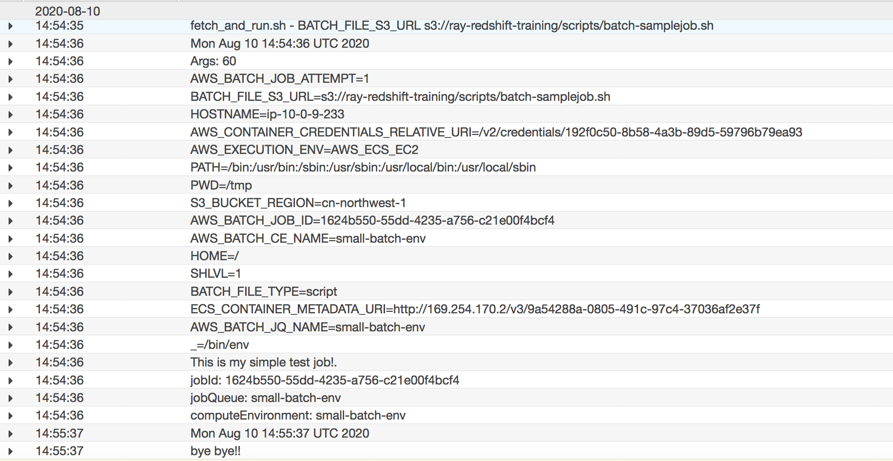 batch-execution-cw-logs