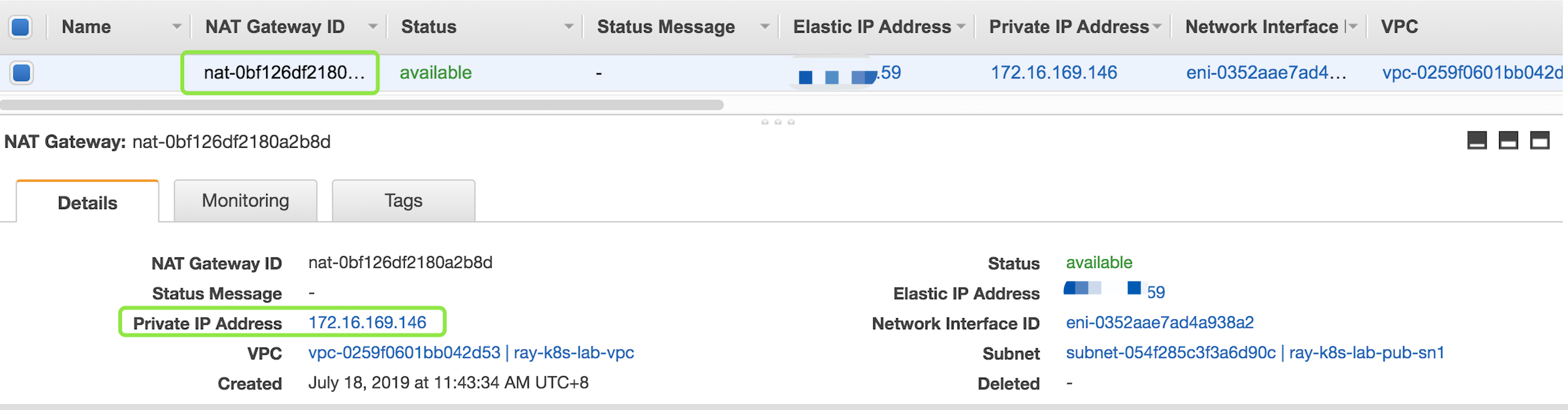 NAT Gateway IP