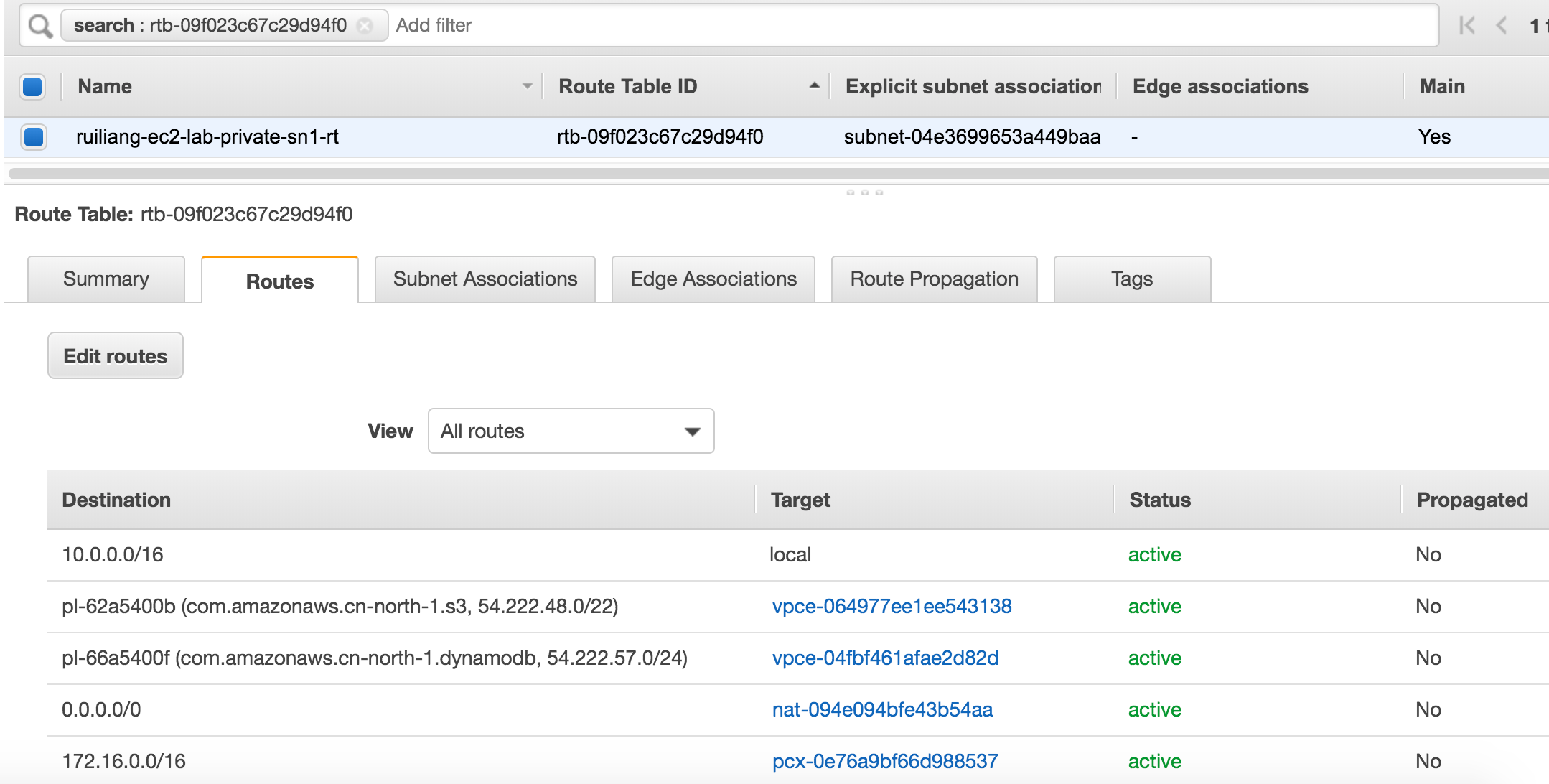 Private Subnet with NAT Gateway and VPC S3 Endpoint